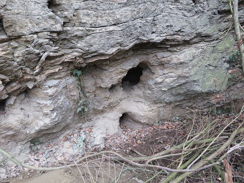 Höhlenbildung in einer zum Teil verfüllten Schlotte am Hang Ri. Fuchsturmweg. War von unten nicht zu sehen!